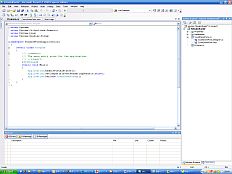 Realys staat voor opdrachten in C, C++ en .NET (Visual C# en Visual Basic). Software ontwikkeling
